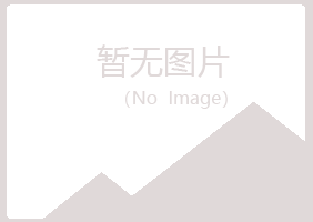 丽江字迹电讯有限公司